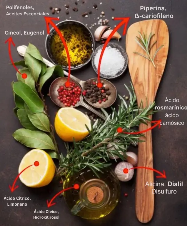 Ingredientes herbales con propiedades